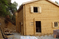 DSC00623