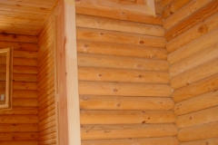 DSC00637