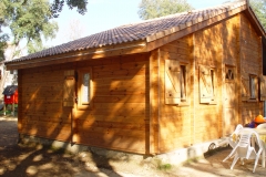 DSC00786