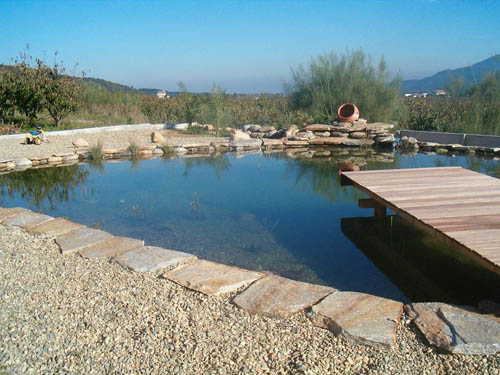 piscine naturel plage et margelle en pierre