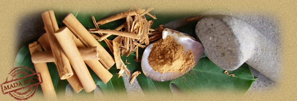 Cannelle Madagascar Cannelle Madagascar