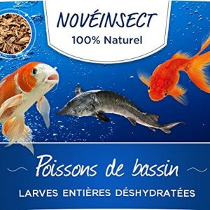 noveinsect Alimentation complémentaire pour poissons de bassin larges entières déshydratées noveinsect Alimentation complémentaire pour poissons de bassin larges entières déshydratées