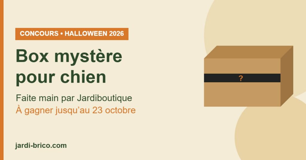 Box mystère pour chien Jardiboutique : concours Halloween 2026