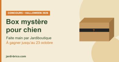 Box mystère pour chien Jardiboutique : concours Halloween 2026