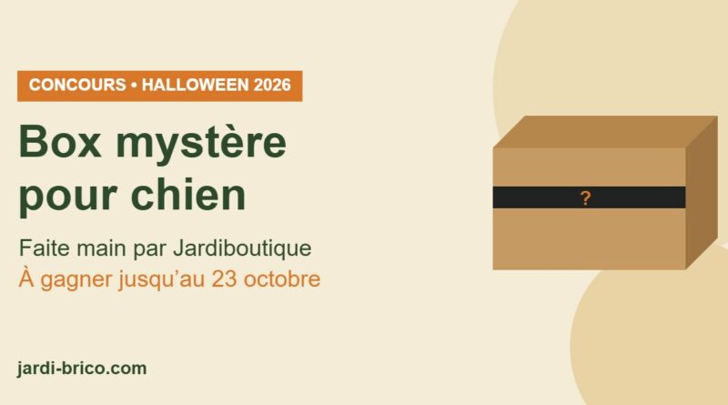 Box mystère pour chien Jardiboutique : concours Halloween 2026