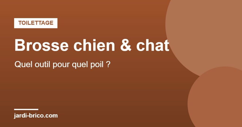 Brosse pour chien et chat : choisir selon le type de poil