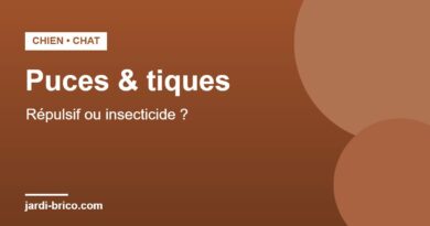 Collier anti-puces et anti-tiques pour chien et chat