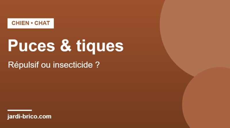 Collier anti-puces et anti-tiques pour chien et chat